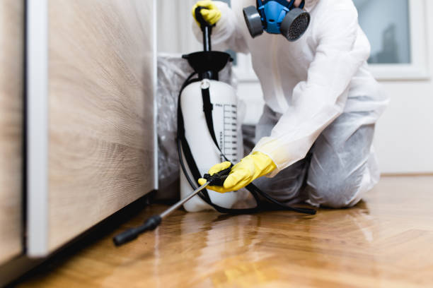 Best Affordable Pest Control Services  in Herington, KS