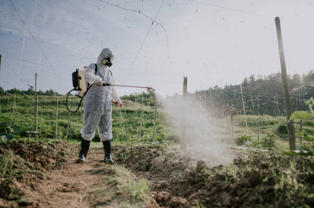 Best Pest Control for Homes  in Herington, KS