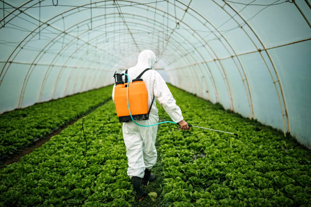 Best Pest Control Near Me  in Herington, KS