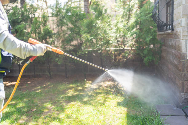 Best Insect Control  in Herington, KS