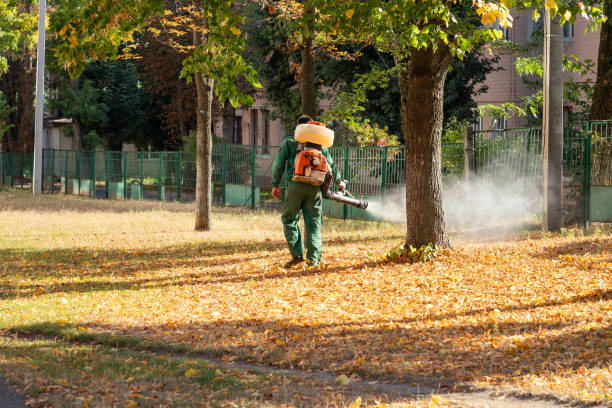 Best Pest Prevention Services  in Herington, KS