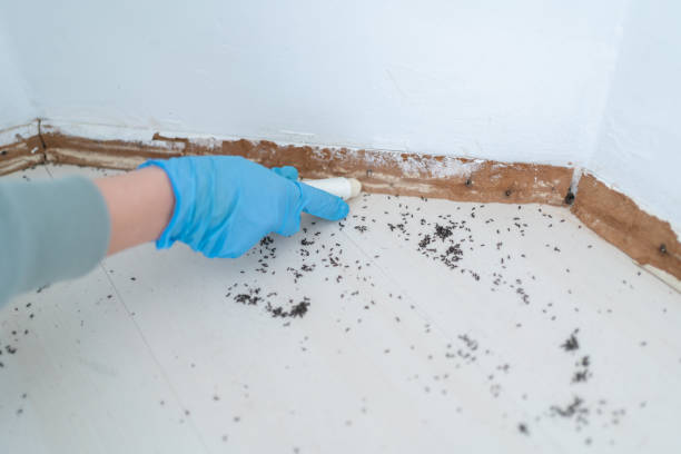Best Best Pest Control Companies  in Herington, KS
