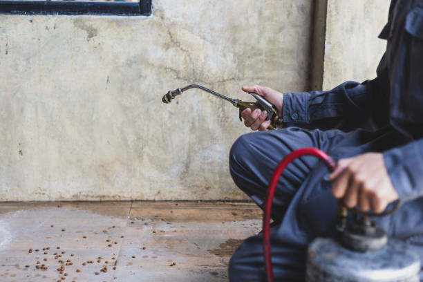 Pest Control for Restaurants in Herington, KS