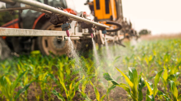 Best Pest Inspection Near Me  in Herington, KS